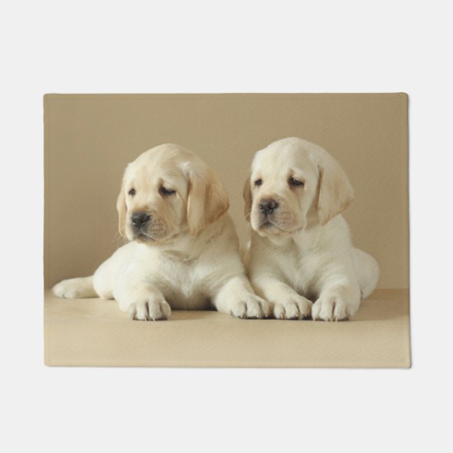 Paillasson Deux Marionnettes Golden Labrador (Devant)