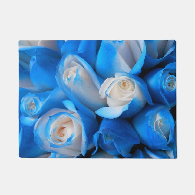 Paillasson Diemudis (Devant)