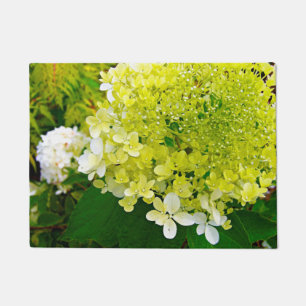 Paillasson Élégante Chartreuse Vert Limelight Hydrangea