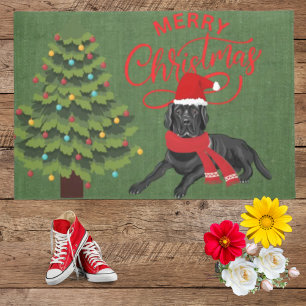 Paillasson Elégantes couleurs pratiques belle labrador noire