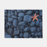 Étoiles de mer sur les roches noires le long de la