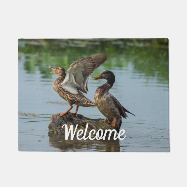 Paillasson Excusez-moi Welcome Doormat (Devant)
