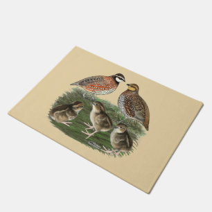 Paillasson Famille Bobwhite Quail