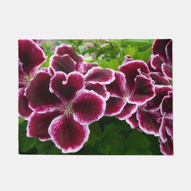 Paillasson Fleurs de géranium Regal Élégant Maroon Floral Lug (Devant)