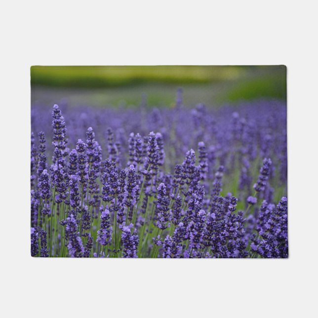 Paillasson Fleurs lavendar assez pourpres (Devant)