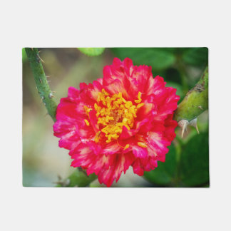 Paillasson Fleurs roses rouges