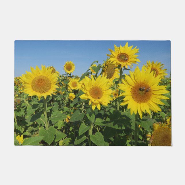 Paillasson Flower, sun, plant, nature, summer, floral (Devant)