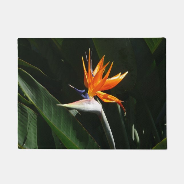 Paillasson Flower tropical orange paradise (Devant)