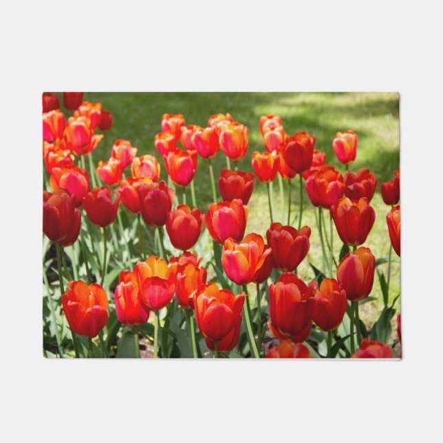 Paillasson Grand champ de tulipes rouges (Devant)