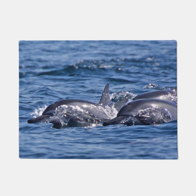 Paillasson Groupe de dauphins de goulot - Oman (Devant)