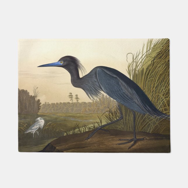 Paillasson Grue Bleue Ou Heron Oiseaux D'Amérique John James (Devant)