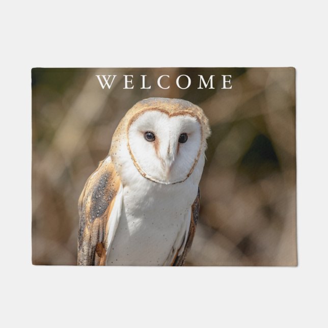 Paillasson Hibou de grange (Devant)
