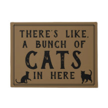 Il y a beaucoup de chats ici | Chat drôle