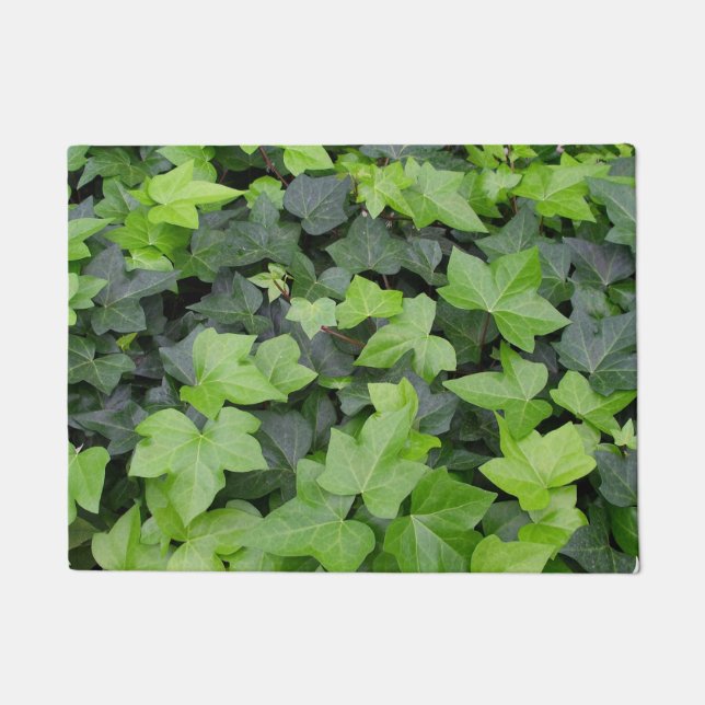 Paillasson Impression botanique verte Ivy (Devant)