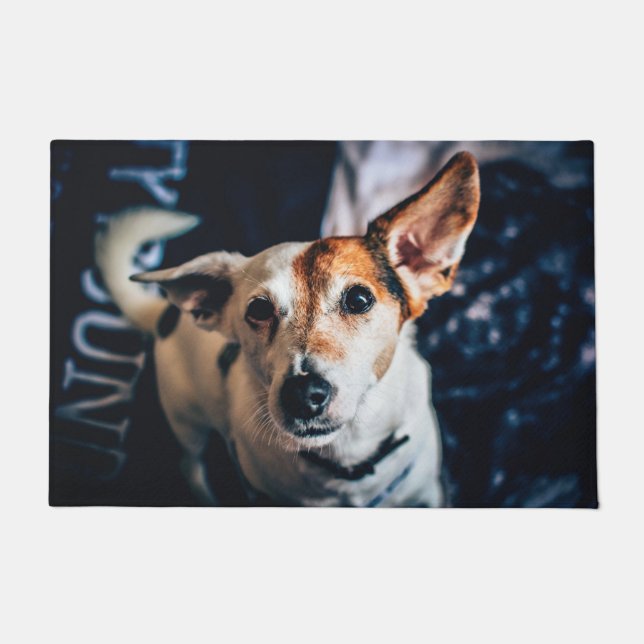 Paillasson Jack Russell Terrier Doormat (Devant)