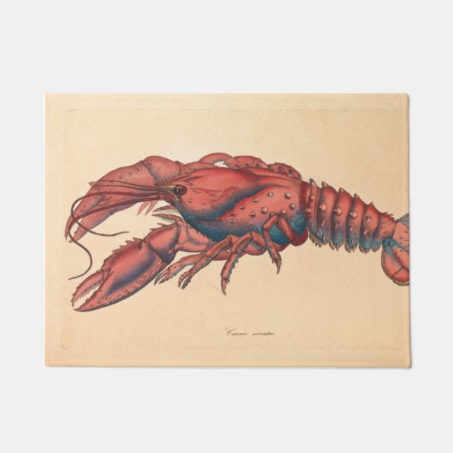 Paillasson James Sowerby Homard serbé (Devant)