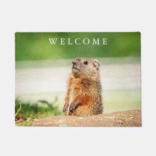 Paillasson Jeune Groundhog