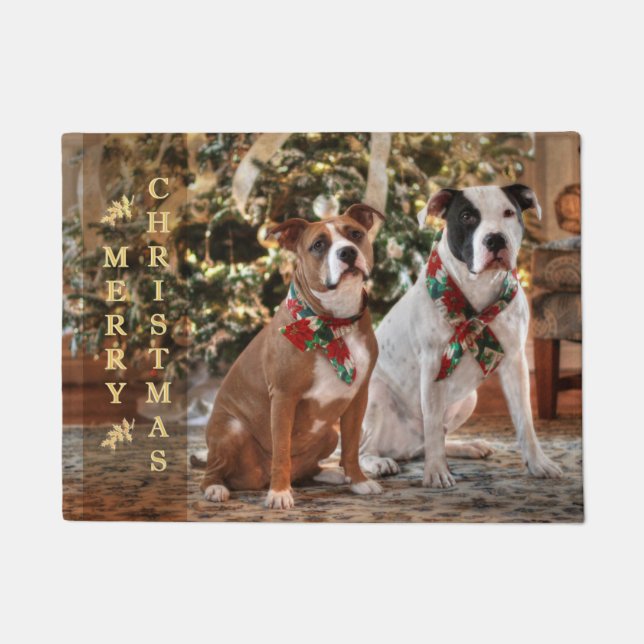 Paillasson Joli Secourt de Noël Pitbull et America Bull Dog (Devant)