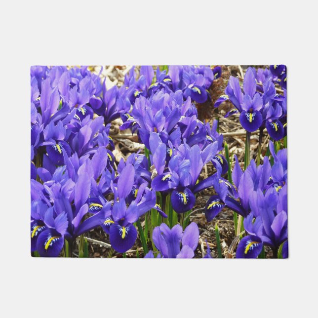 Paillasson Katherine Hodgkin Irises Printemps Violet Floral (Devant)