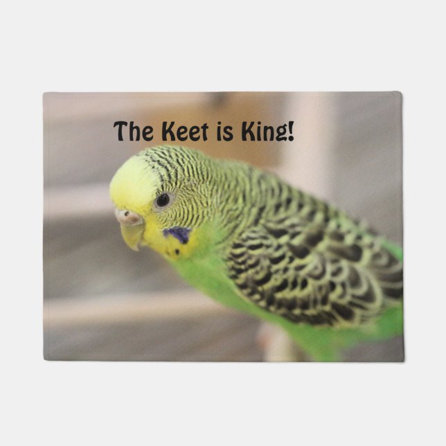 Paillasson Kiwi (Devant)