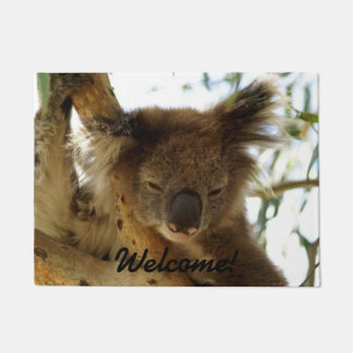 Paillasson Koala sauvage dormant sur l'arbre d'eucalyptus,