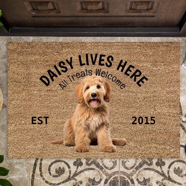 Paillasson Labradoodle mat Amoureux des chiens personnalisé (Créateur téléchargé)