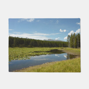 Paillasson Lac des Cygnes I dans le parc national de Grand Te