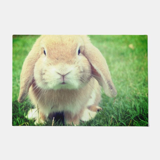 Paillasson Lapin (Devant)