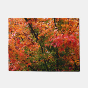 Paillasson L'érable japonais à l'automne