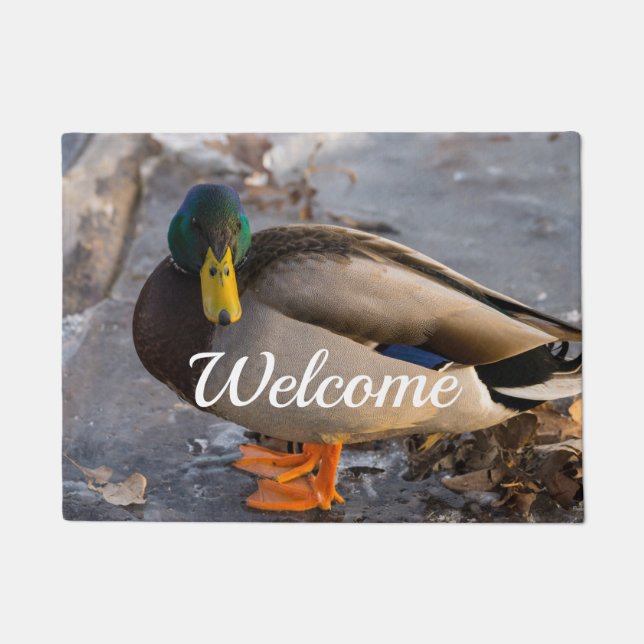 Paillasson Mallard Sur La Porte D'Accueil De Glace (Devant)