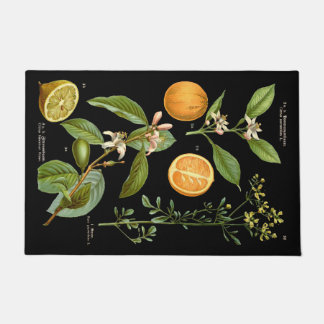 Paillasson Mat de porte Vintage d'oranges et de citrons