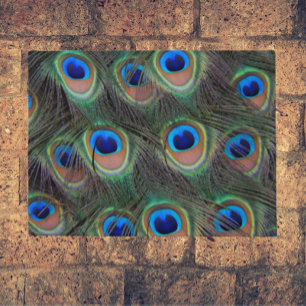 Paillasson Motif coloré Peacock Feather