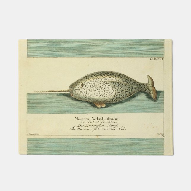Paillasson Narwhal Antique Baleine Aquarelle Art scientifique (Devant)