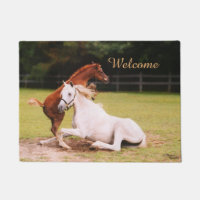 Natte bienvenue de chevaux Arabes