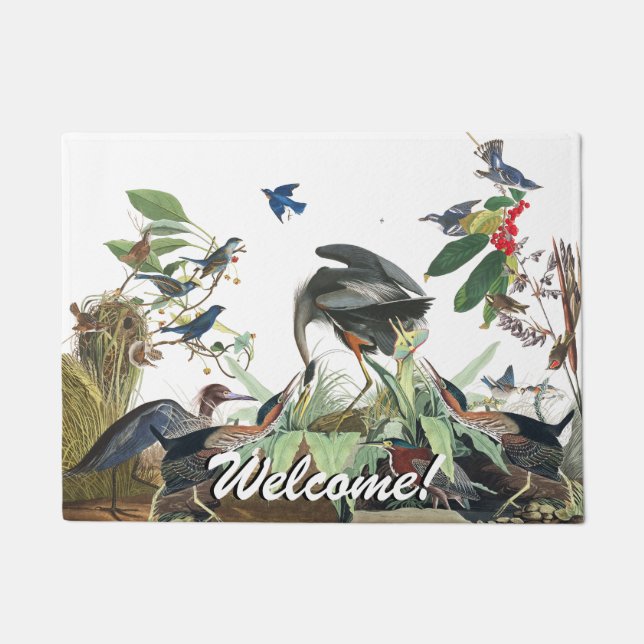 Paillasson Natte bienvenue d'oiseaux d'oiseau bleu de dingue (Devant)