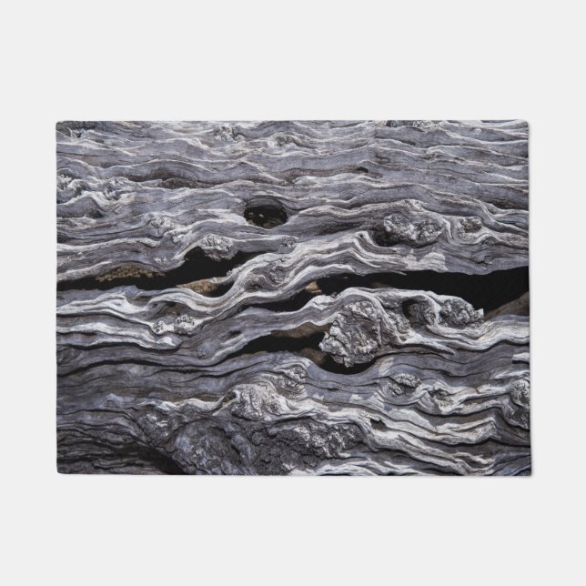 Paillasson Olivier sauvage| Grand Karoo, Afrique du Sud (Devant)