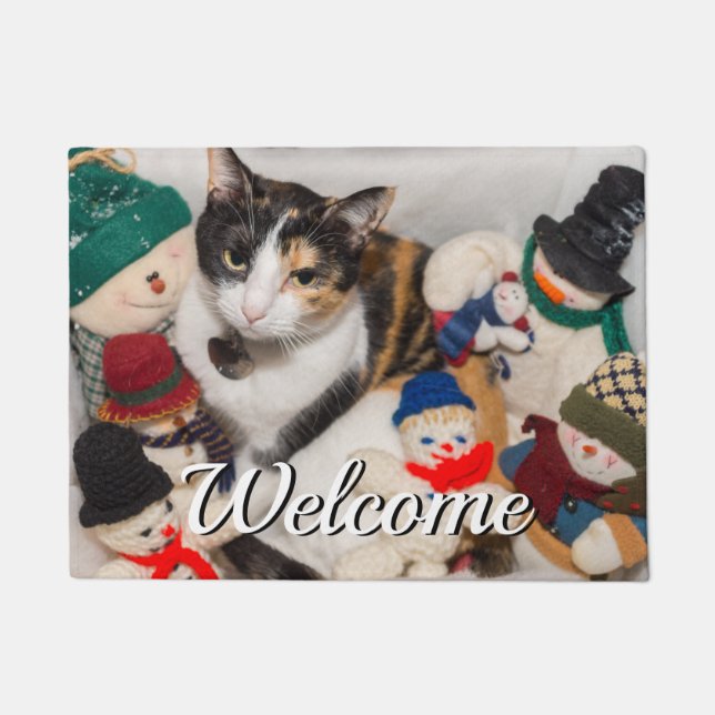 Paillasson Où Se Trouve La Porte D'Accueil Du Chat (Devant)