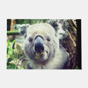 Paillasson Ours de Koala
