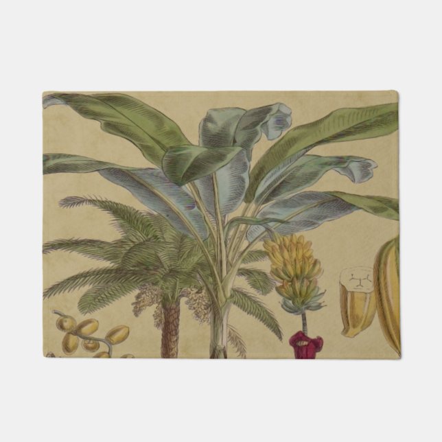 Paillasson Palm Antique Fruit Tropical Art Botanique (Devant)