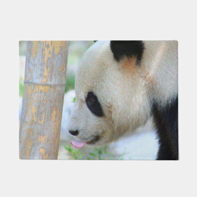 Paillasson Panda20170502_by_JAMFoto (Devant)