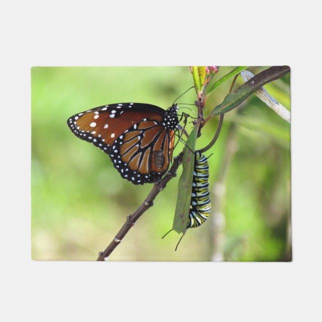 Paillasson Papillon de la Reine et natte de Caterpillar de (Devant)