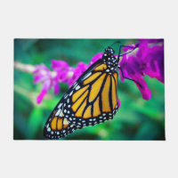 Papillon monarque orange violet photo de fleur