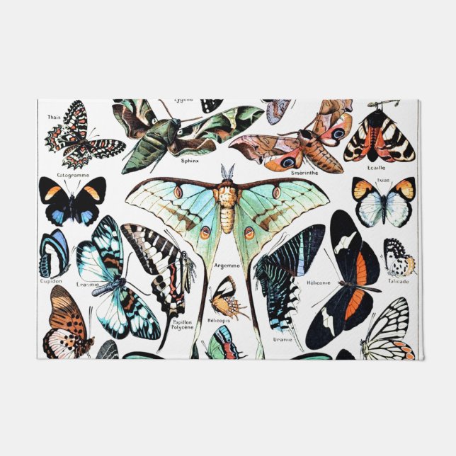 Paillasson Papillon vintage Illustration Art (Devant)