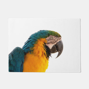 Paillasson Parrot coloré