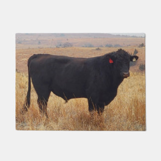 Paillasson Pâturage de Steer Black Angus avec son troupeau