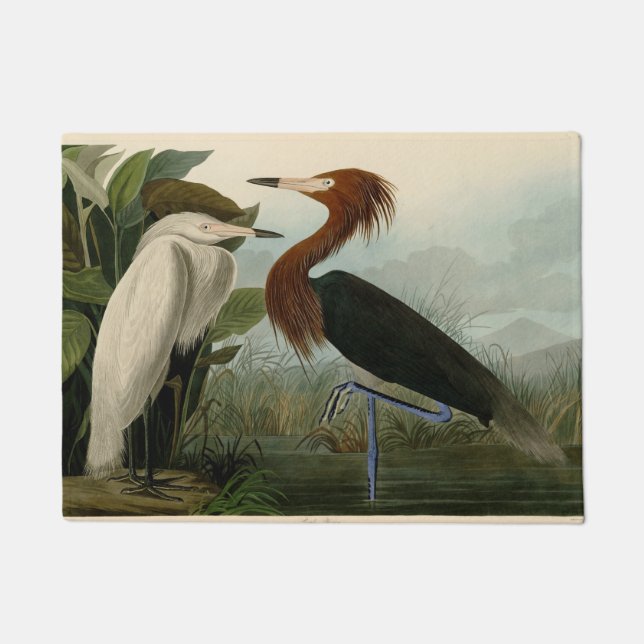 Paillasson Peinture de la faune d'Audubon Heron violet (Devant)