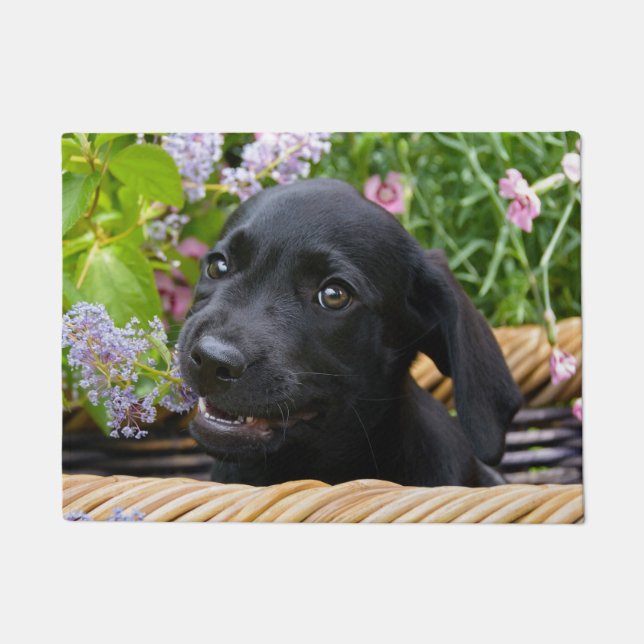 Paillasson Photo noire mignonne d'animal familier de chiot de (Devant)