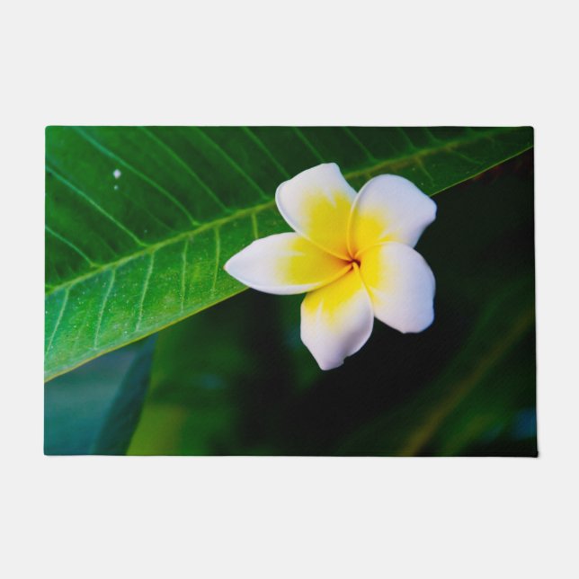 Paillasson Photographie de fleurs de plumeria (Devant)