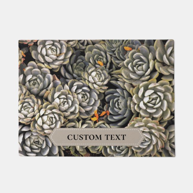 Paillasson plantes succulents dans les tons gris et marron Po (Devant)