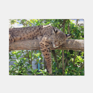Paillasson Poignée Bobcat Repose